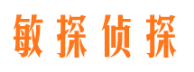 黄石市调查公司